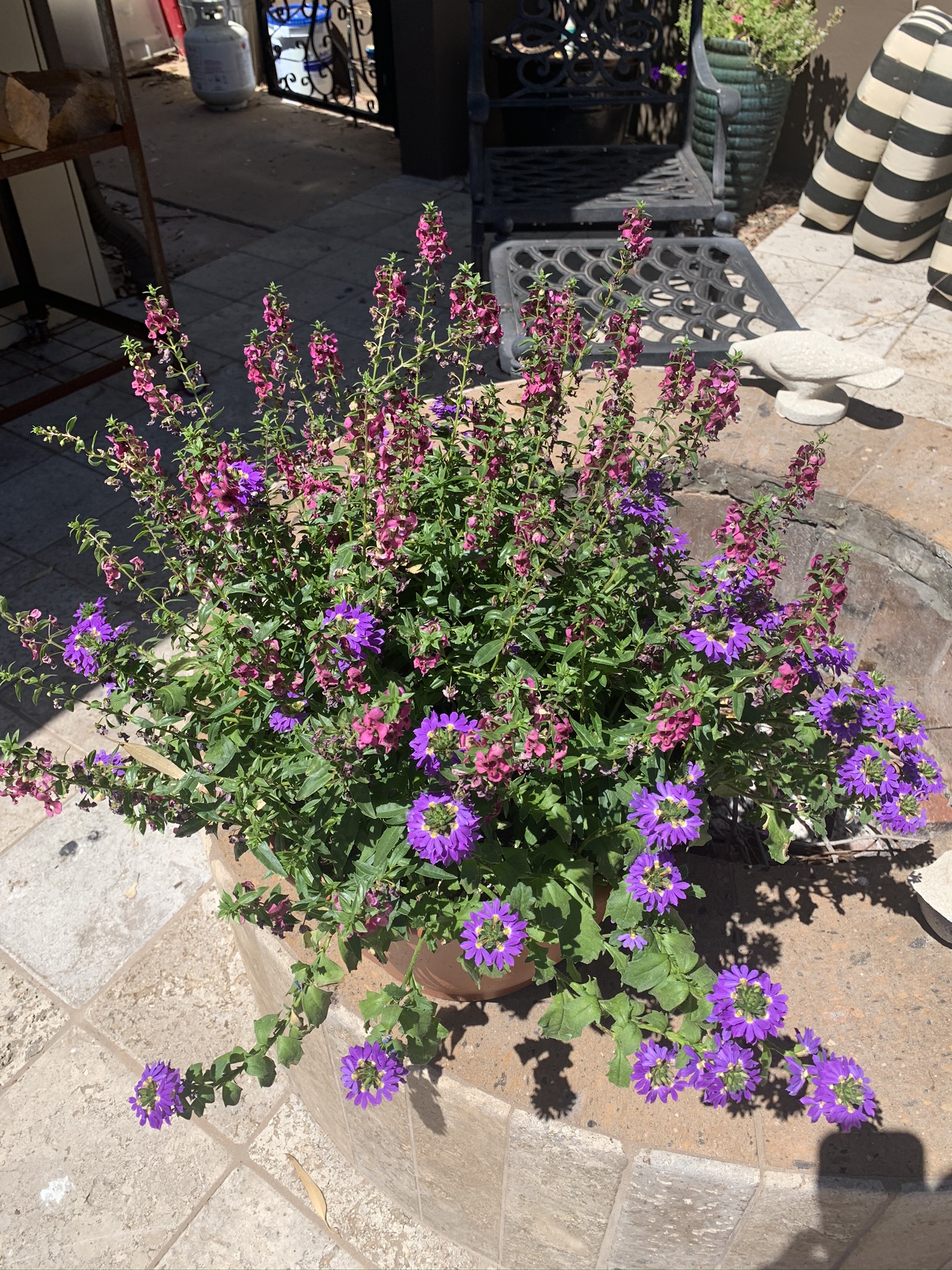 floral-arrangement